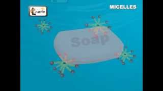 Soap Micelles Formation  Science [upl. by Eseela]