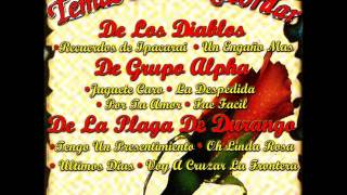 LA PLAGA DE DURANGO oh linda rosa [upl. by Ahsieym572]