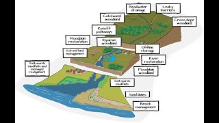 Grade 12 Geography Catchment Area amp River Management [upl. by Arabele454]