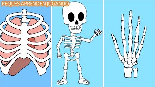 Los huesos para niños Video del sistema óseo De Peques Aprenden Jugando [upl. by Renato]