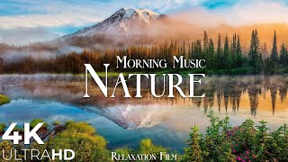 Morning Relaxing Music  Nature Relaxation Film 4K  Peaceful Relaxing Music  Video UltraHD [upl. by Taam]