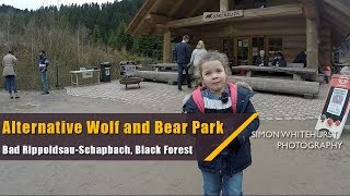 Alternative Wolf and Bear Park  Alternativer Wolf und Bärenpark  Schwarzwald  Black Forest [upl. by Reidid]