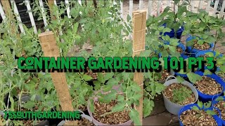 Container Gardening 101 Pt 3 [upl. by Malliw757]