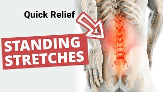 7 Standing Lower Back Pain Stretches for PAIN RELIEF [upl. by Ettevets271]