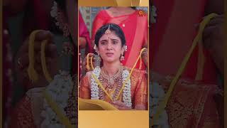 AnandhaRagam SunTV shorts tamilserial [upl. by Nyladgam]