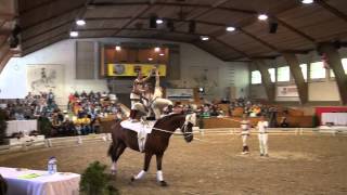 CVI Bern 2015  Harlekin SUI CVIJ2 [upl. by Domenic475]