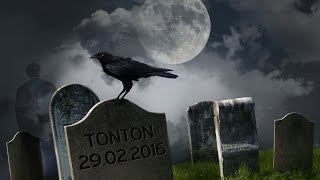 RIP Tonton 29022016 WoW PvP [upl. by Ahsenid]