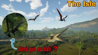 Jogando e aprendendo a voar com o Pteranodonte  The Isle Evrima [upl. by Marti]