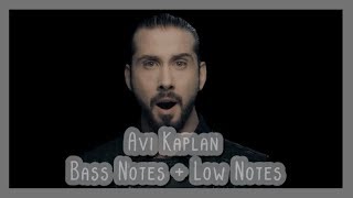 Avi Kaplan  Bass  Low Notes [upl. by Hitchcock159]