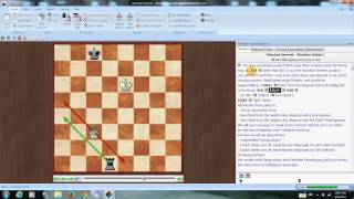 Queen versus Rook endgame Absolute Seventh [upl. by Asiole]