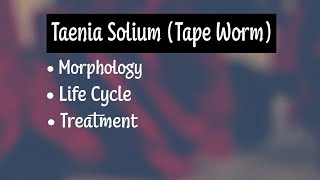 Taenia Solium Morphology Life Cycle Treatment [upl. by Trill326]