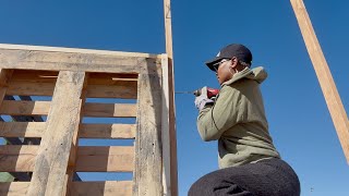 DEVELOPING OUR 10 ACRE DESERT HOMESTEAD ON A BUDGET DIY PALLET FENCE [upl. by Baiss]