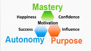 Autonomy Purpose amp Mastery The 3 Essentials [upl. by Maryjane]