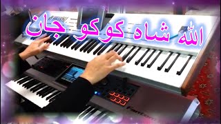 Alla Shah Koko Jan amp Logari  مشتاق بیغش  الله شاکوکوجان  Moschtack Begasch  Afghan Keyboard 2014 [upl. by Grizelda536]