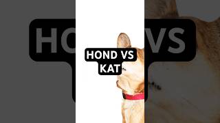 Honden 🐕 vs Katten 🐈 [upl. by Adnohsirk461]