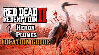 Heron Plumes  Location Guide  Red Dead Redemption 2 [upl. by Ruhtracm320]