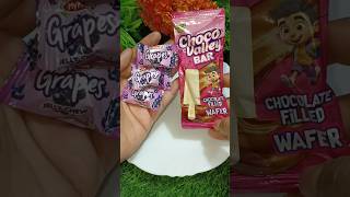 Choco Valley Bar  Grapes Jelly Chew  Heritage Basam Milk Popsicle🍦shorts icecream shortvideo [upl. by Connett]