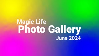 Magic Life Photo Gallery June 2024 [upl. by Cross792]