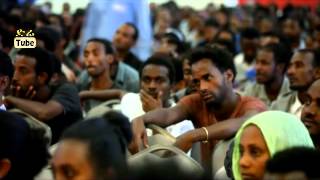 Tsegalul Hailemariam  Shaklot ሻቅሎት  NEW Ethiopian Tigrigna Music Video 2015 [upl. by Nivanod983]