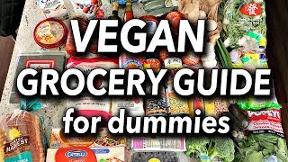 BUDGET FRIENDLY VEGAN GROCERY GUIDE FOR BEGINNERS  Vegan Grocery Haul [upl. by Aillicsirp330]