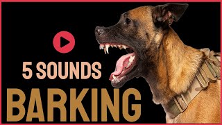 5 Dog Barking Sounds To Make Your Dogs Bark [upl. by Obrien683]