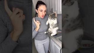 BAD CATS 🐱😱😭 potapovablog tiktok shorts [upl. by Branch]