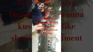 Jai chhati maiya like share and comment subscribe Dandopur padrauna kushinagar [upl. by Murdocca170]