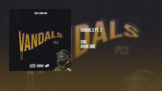 Cng feat Kruk One  Vandals pt2 Official Audio [upl. by Arukas]