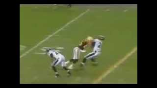 Hines Ward Levels Ed Reed [upl. by Aivizt]