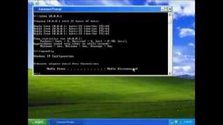 Howto Ping IP Address and Check DNS Settings  StepbyStep Guide computerbasics cmd [upl. by Aneba]