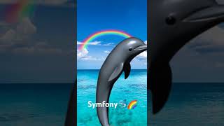 Symfony🐬🌈 [upl. by Klarrisa]