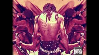 Lil Wayne  On Fire Remix [upl. by Ahserak]