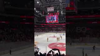 MALMÖ Redhawks GOAL celebrations🚨hockey hockeygoal goalcelebrations hockeyshorts shl malmö [upl. by Elag]