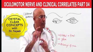 Oculomotor Nerve and Clinical Correlates Part 4 [upl. by Luht178]