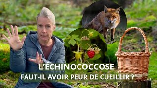 Échinococcose  fautil avoir peur de cueillir [upl. by Enaj]