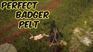 Perfect Badger Pelt RDR2 [upl. by Coucher638]