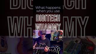 What happens when you use Digitech Whammy pedal pedalboard guitar guitarsolo digitech [upl. by Vinna471]