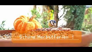 Schöne Herbstferien [upl. by Coshow]