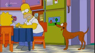 The Simpsons Homers Attempts To Get The Dog To Sit [upl. by Delwyn]