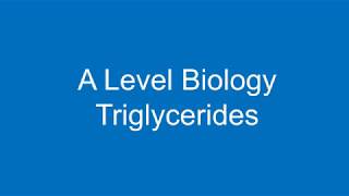 A level Biology Triglycerides [upl. by Fia]