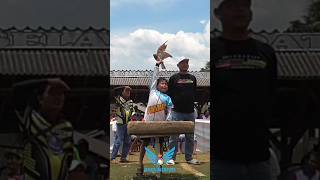 JOKI CILIK PALING SANTUY SAAT GEBER MERPATI JABLAY DI LAPAK NASIONAL onexmerpati [upl. by Ahsiema]