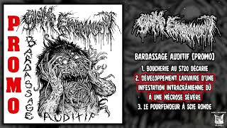 Cystic Embalmment  Bardassage Auditif Promo FULL EP 2024  Goregrind [upl. by Econah]