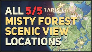 All 5 Misty Forest Scenic View Locations Tarisland [upl. by Essiralc]