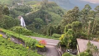 The Tea Castle tea hatton srilanka evening subset views beauty nature waterfall [upl. by Ennej]