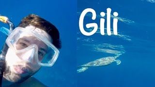 Weltreise ist nicht das Glück  Bali VLOG146 [upl. by Oiralih]