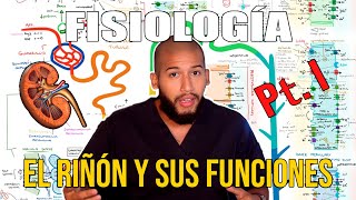 Fisiología Renal Pt 1  Anatomía Funcional del Riñón Funciones Nefrona Irrigación [upl. by Nosreve]