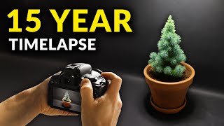 I Filmed Plants For 15 years  Timelapse Compilation [upl. by Athal755]