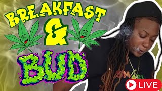 BREAKFAST amp BUD WHO IS SOMEONE YOU CANNOT STAND [upl. by Dione]