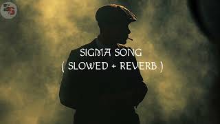 SIGMA RULE Song slowed  Reverb lofi [upl. by Wertz]