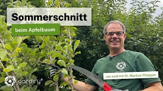 Sommerschnitt beim Apfelbaum Obstbäume durch Schnitt klein halten 4 wichtige Tipps [upl. by Yoo]